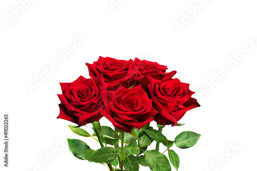 Bouquet of red roses flowers on white background