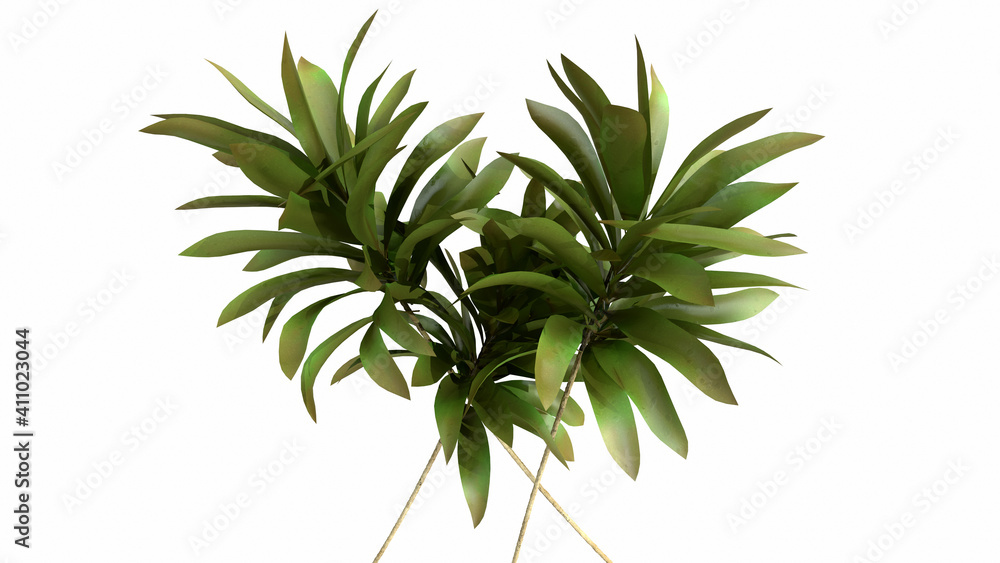 Tropical palm leaves on white background - 3d render. Natural composition of the branches for advertising, presentation design, wallpaper, products. Fashionable botany and organic with copy space. Tropical palm leaves on white background - 3d render. Natural composition of the branches for advertising, presentation design, wallpaper, products. Fashionable botany and organic with copy space.