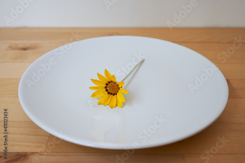 single yellow flower still life on a white plate