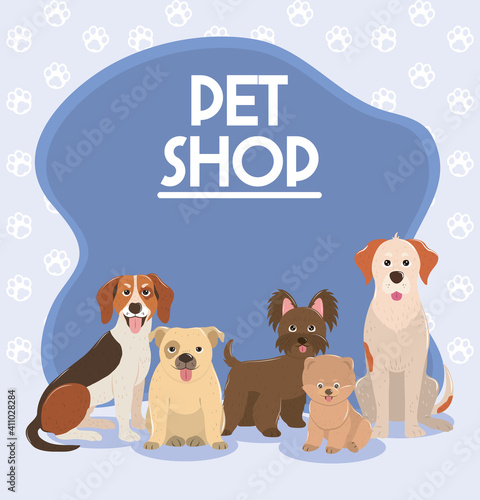 pet shop, different dogs animals domestic poster