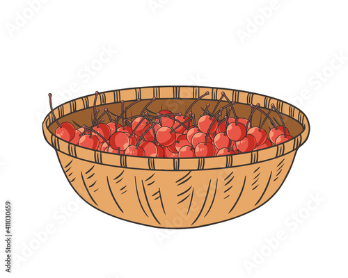 かごに入ったさくらんぼ　赤