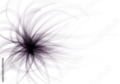 black and white abstract background with feature flower