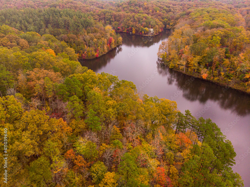 Fototapeta premium autumn in the forest