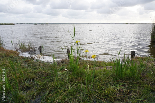 Massaciuccoli photo