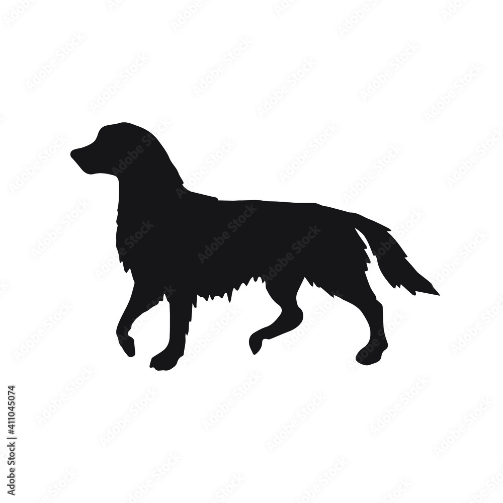 Vector hand drawn retriever dog silhouette isolated on white background
