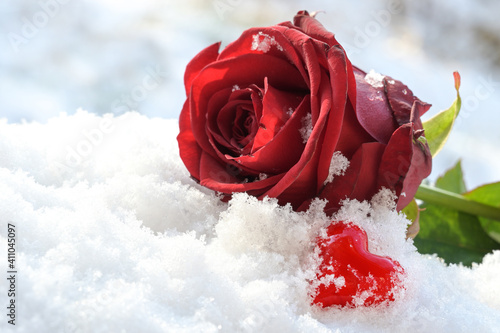 Red heart from glass and a rose flower lying in the white snow, love symbol on valentines day, copy space