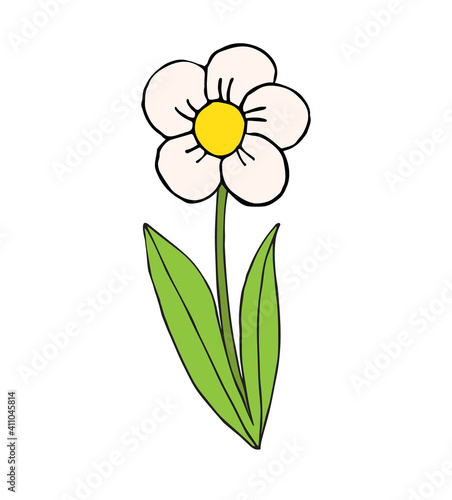 Vector hand drawn doodle sketch chamomile daisy flower isolated on white background