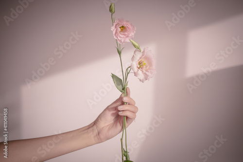 person holding a pink flower
