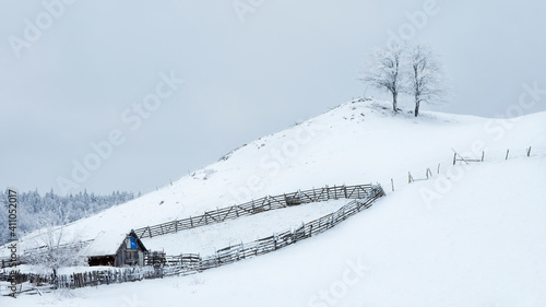 Winter landscapes with cold atmosphere