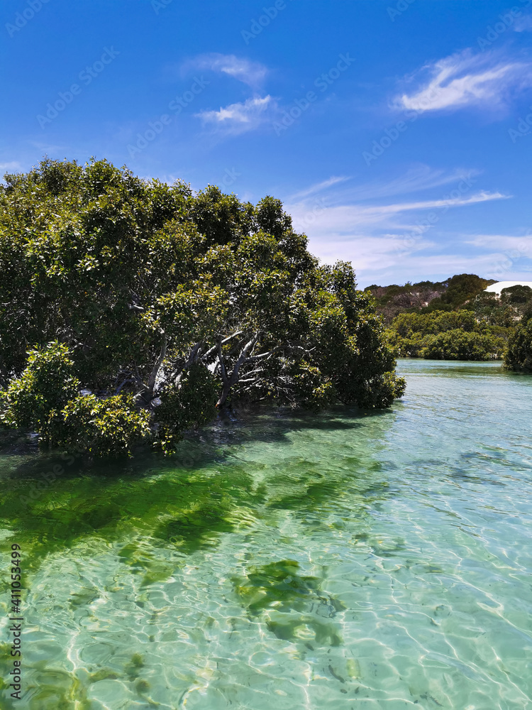 Moreton Island mangroves. Queensland Australia, December 30th 2019, Moreton Bay