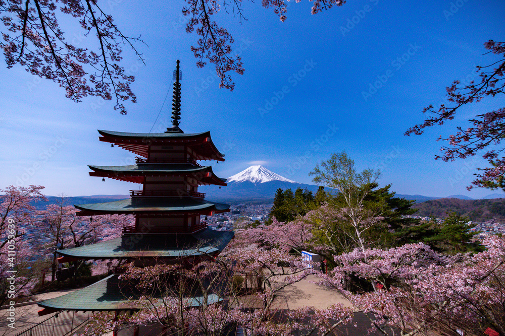 japanese temple in spring - chureito pagoda Mount Fuji in Japan 