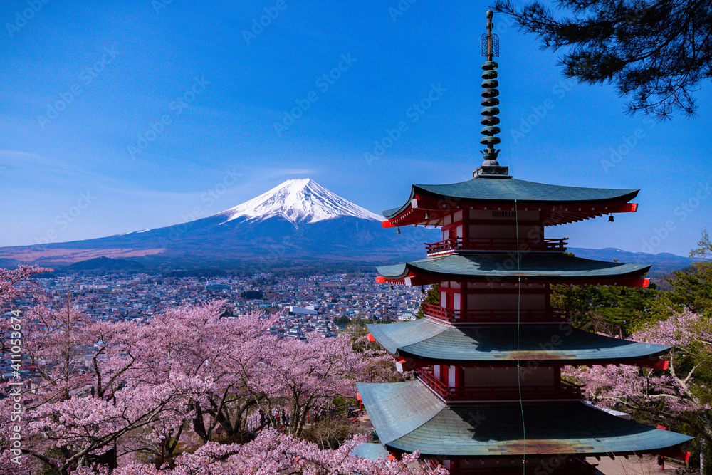 Fototapeta mountain and blossoms - Mount Fuji in Japan