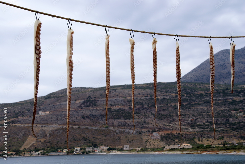 Octopus tentacles hanging on display in Greece Octopus tentacles hanging on display in Greece