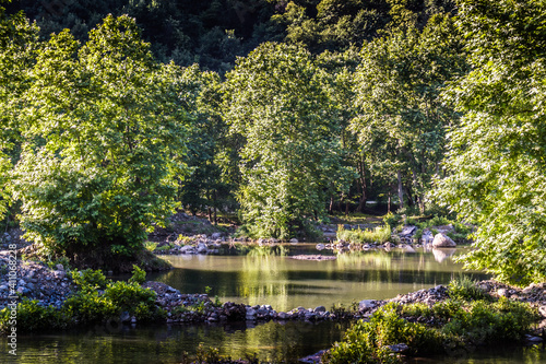 lush natural landscape with green pastures by the side of still waters