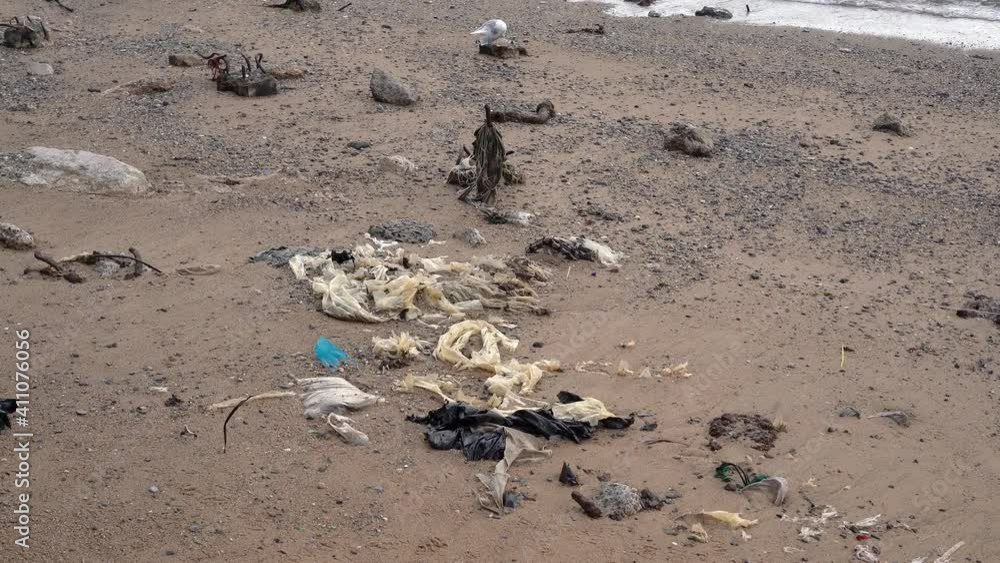 Waste and Trash on beach, Rubbish on shore of the East River in Manhattan Waste and Trash on beach, Rubbish on shore of the East River in Manhattan