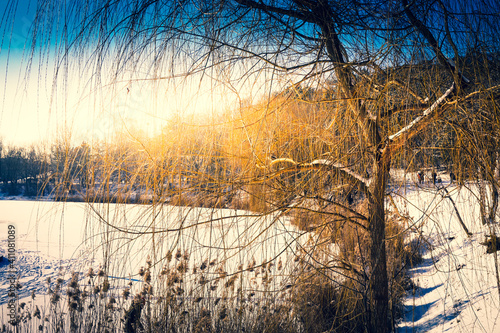 Wallpaper Mural Frozen lake covered with snow in winter Torontodigital.ca