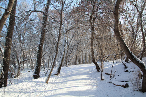 Winters Beauty On The Trail, Gold Bar Park, Edmonton, Alberta