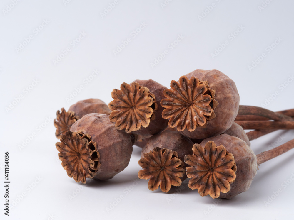 Dried poppy heads and seeds close-up, macro Dried poppy heads and seeds close-up, macro