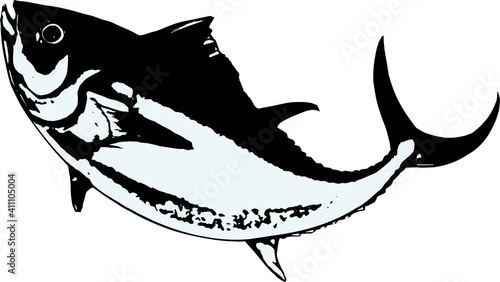 シンプルなジャンプするマグロの白黒