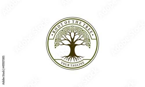 tree logos and roots that flourish with very dense foliage