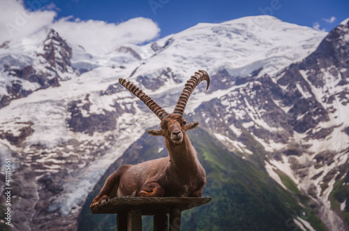 Fotografie Parc du Merlet, Chamonix, haute Savoie