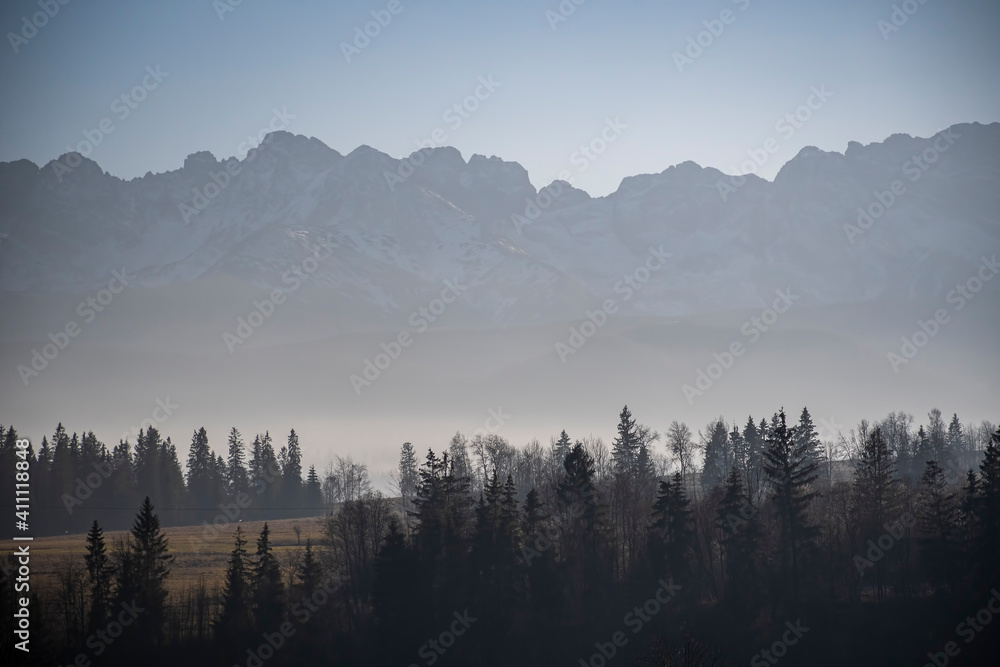 Tatra mountains in silhouette. Fog is covering the lower parts of the hills. The highest peaks of Polish Tatras. Selective focus on the trees, blurred background.