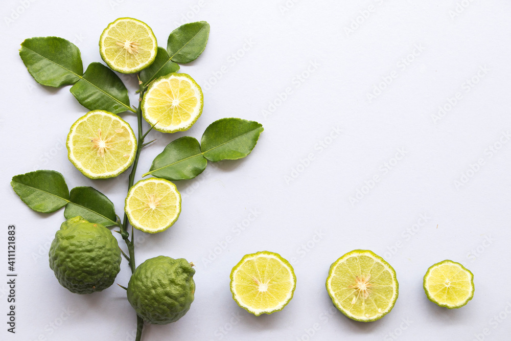 kaffir lime slice herbal local flora of asia arrangement flat lay postcard style on background white 