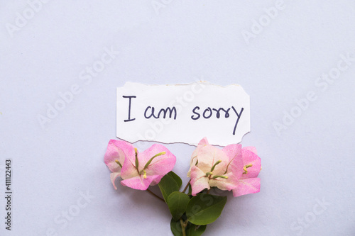 i am sorry message card with pink flower bougainvillea arrangement flat lay postcard style on background white
