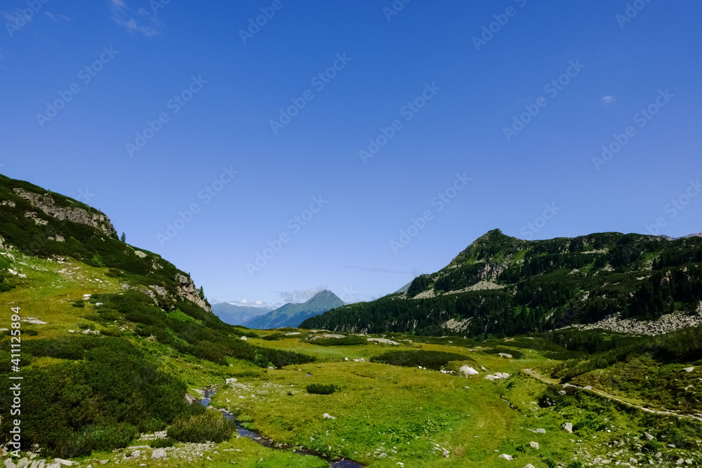 wide view into a mountain valley with wonderful green nature