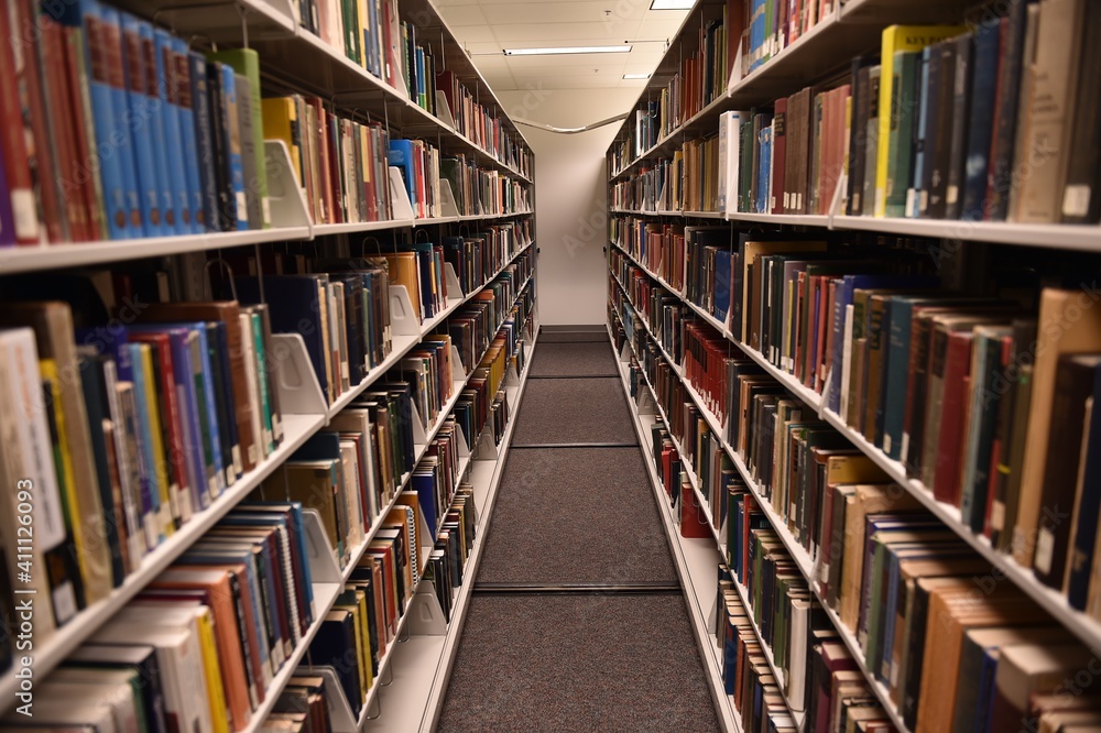 books in library books in library