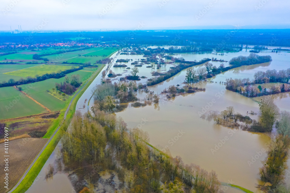 Aerial view of trees in submerged floodplains along river Rhine in winter period near Wörth, Rhineland-Palatinate, Germany. Flood disaster in winter.