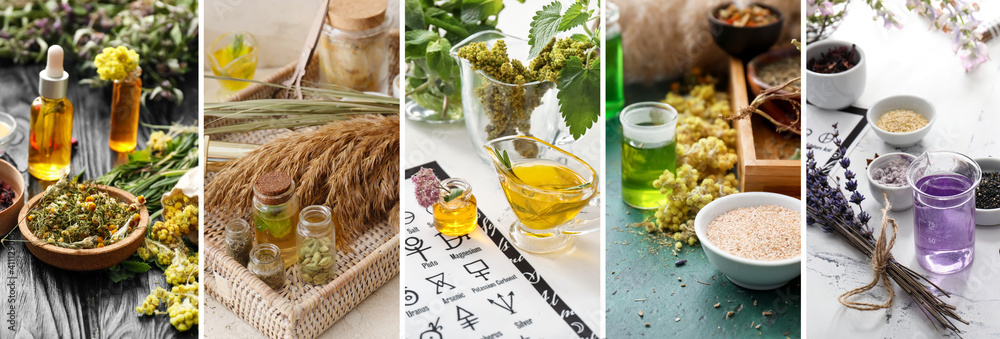 Collage of photos with ingredients for potions on alchemist's table Collage of photos with ingredients for potions on alchemist's table