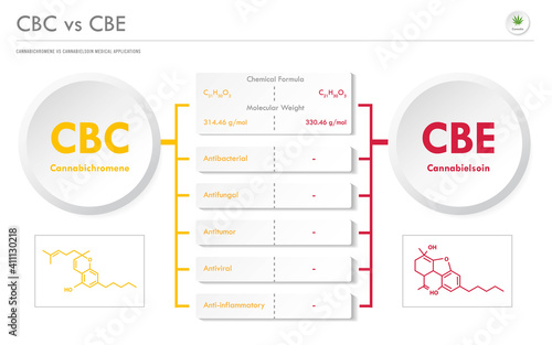 CBC vs CBE, Cannabichromene vs Cannabielsoin horizontal business infographic illustration about cannabis as herbal alternative medicine and chemical therapy, healthcare and medical science vector.