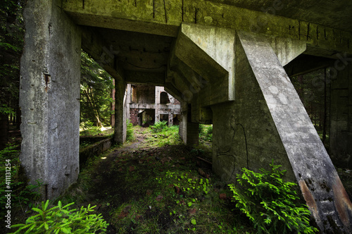 alte ruinen in einem wald betonskellet alt  photo