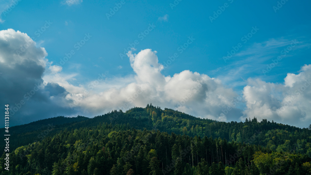 Germany, Black Forest Schwarzwald view above green tree covered mountains  and forest early in the morning after sunrise