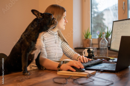 Businesswoman working on laptop computer sitting at home with a dog pet and managing her business via home office during Coronavirus or Covid-19 quarantine photo