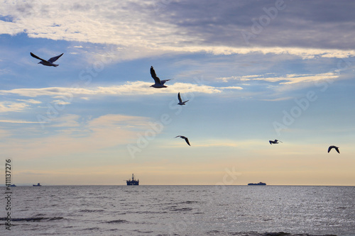silhouette of seagulls against ocean with distant oil rig and tanker