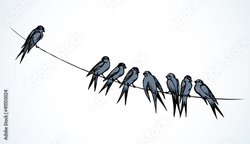 Swallows are sitting on a wire. Vector drawing