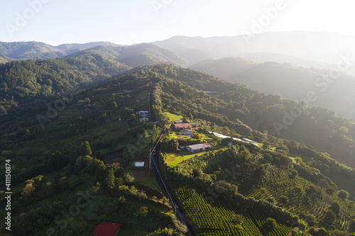 Coffee fields in Costa Rica aerial drone photograph 