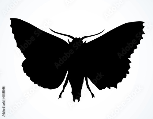 Night butterfly. Vector drawing icon
