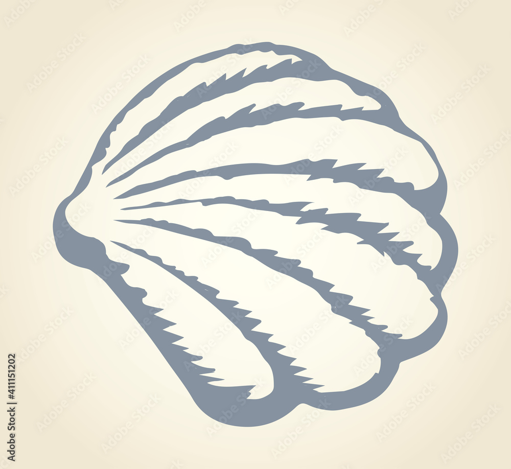 Shell with a pearl. Vector drawing Shell with a pearl. Vector drawing
