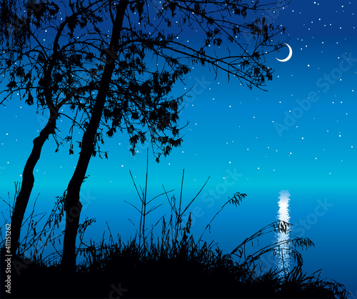 Silhouette of trees by the lake. Vector drawing