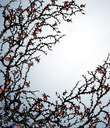 Branch of Blackthorn. Vector drawing