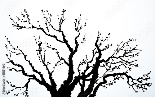 Vector image of mighty tree with bare branches