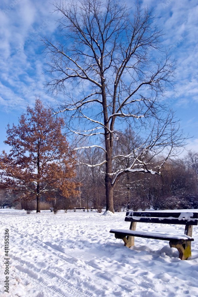 park bench with snow and winter trees like romantic winter landscape