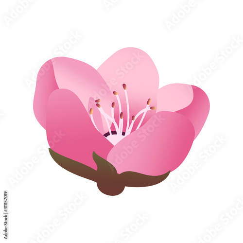 Cute pink Sakura flower icon 