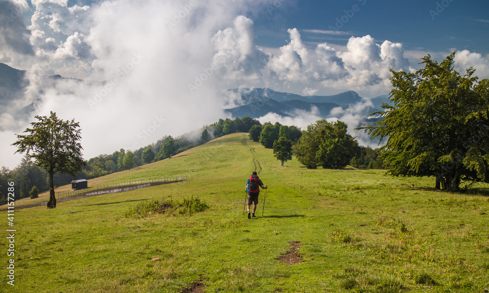 Obraz premium Hiker walking on a meadow on sunny, foggy morning