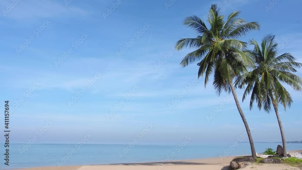 two beautiful palm trees, tall coconut trees standstill at a beachfront with pastel colorful blue sky and soft calming sea on a sunny day. seascape nature background for traveling to beach in vacation two beautiful palm trees, tall coconut trees standstill at a beachfront with pastel colorful blue sky and soft calming sea on a sunny day. seascape nature background for traveling to beach in vacation