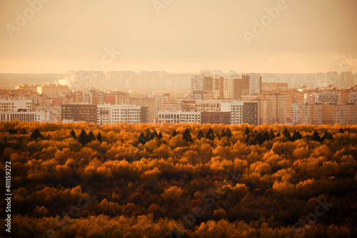 Fog over a large autumn forest with city buildings in the distance photo