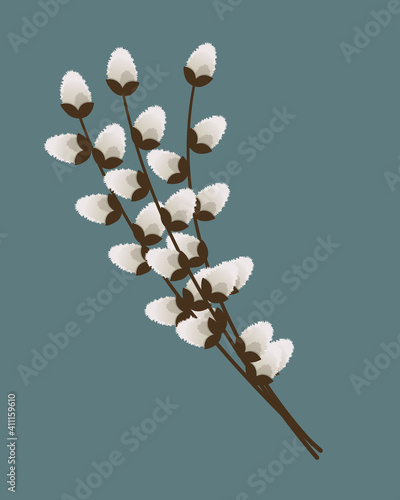 Pussy willow branches isolated on grey background. Easter bouquet. Vector illustration